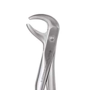 LOWER PREMOLAR No. 75