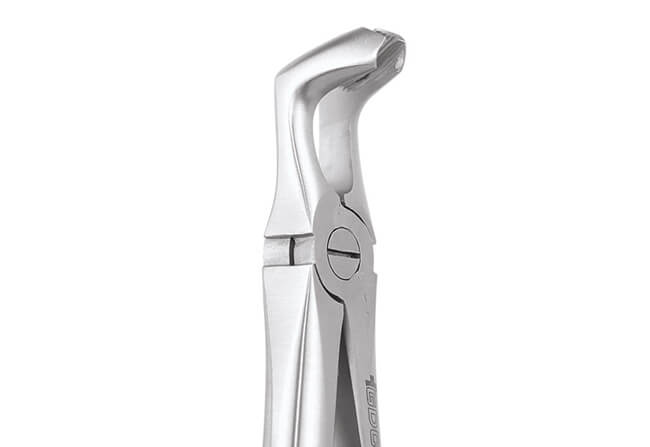 FX79S(1)
