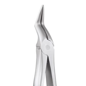 UPPER ROOT No. 197.11